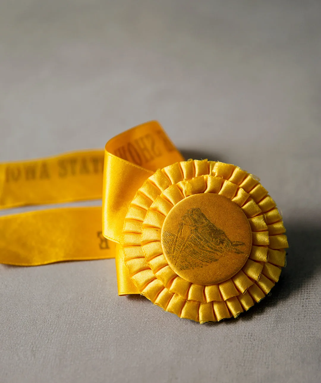 1952 Gold Horse Show Ribbon