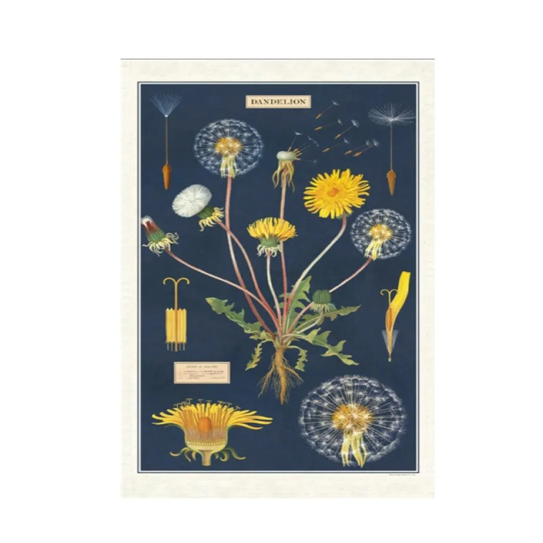 Cavallini Vintage Tea Towels