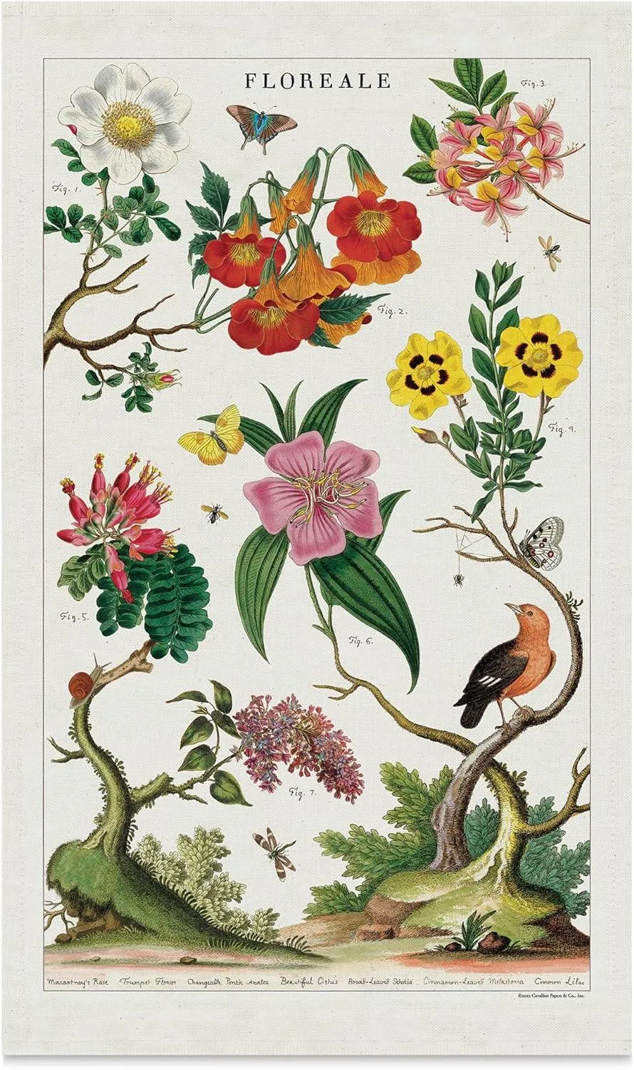 Cavallini Vintage Tea Towels