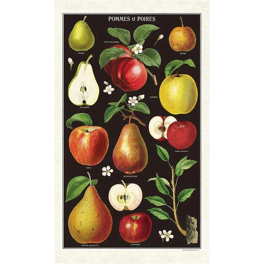 Cavallini Vintage Tea Towels