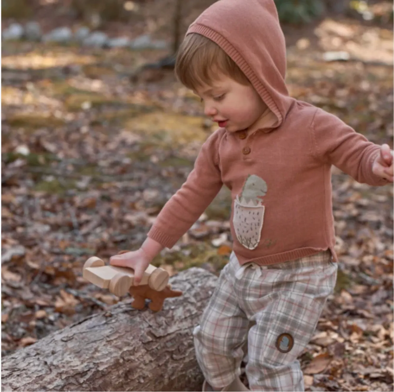 Dinosaur Sweater & Plaid Pants
