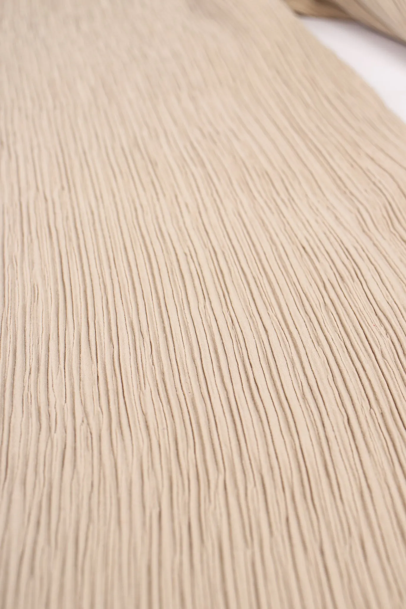 Double Pleated Pant