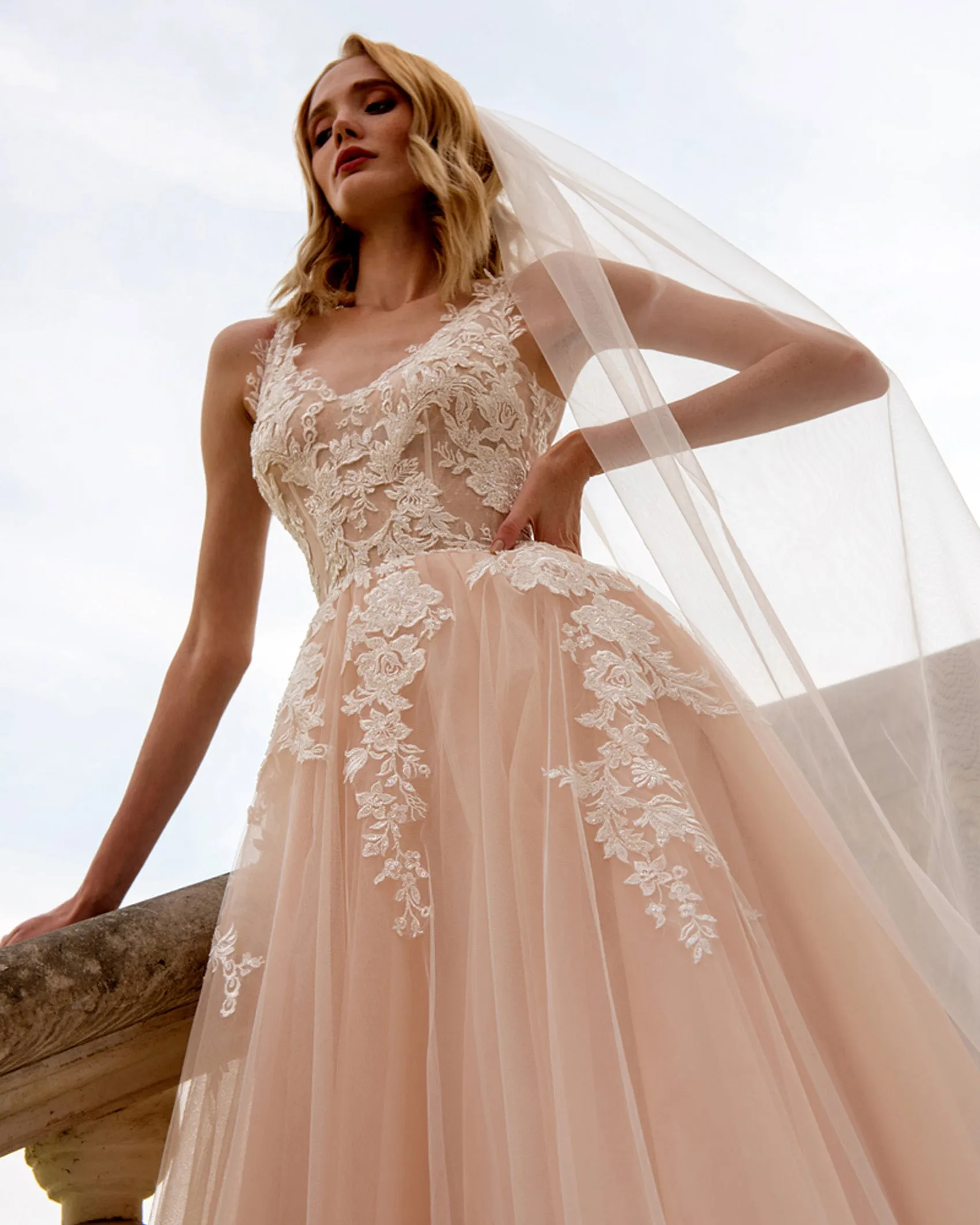 Elegant Lace Wedding Dresses with Veil See Through V-Neck Tulle Lace A-line Bridal Gowns Outdoors