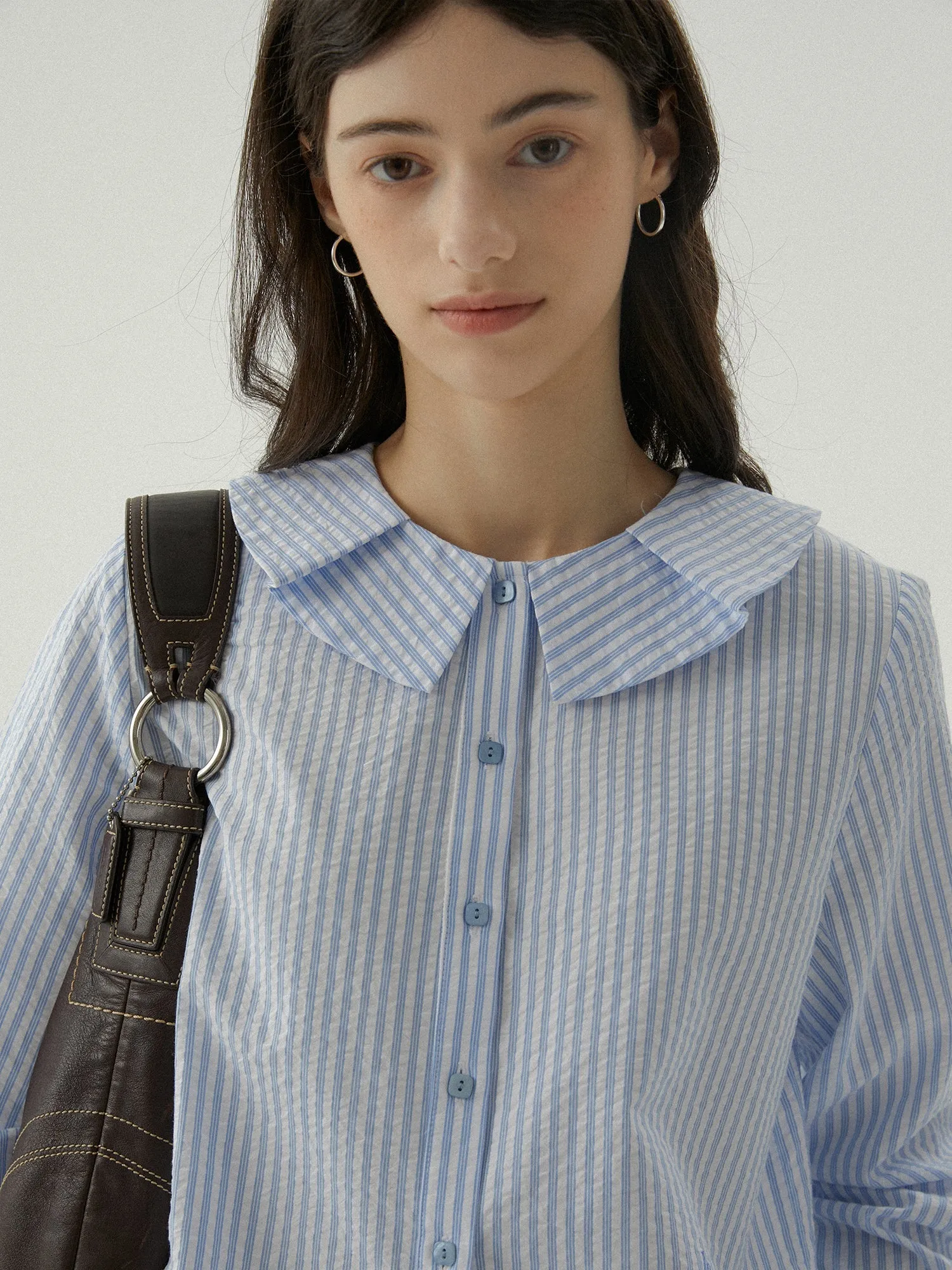 Striped Button-Up Blouse