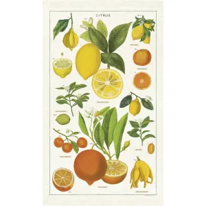 TEA TOWEL - CITRUS