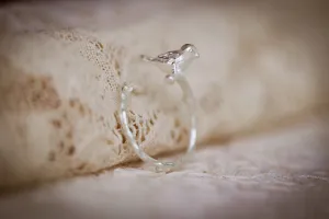 The Birdie Ring