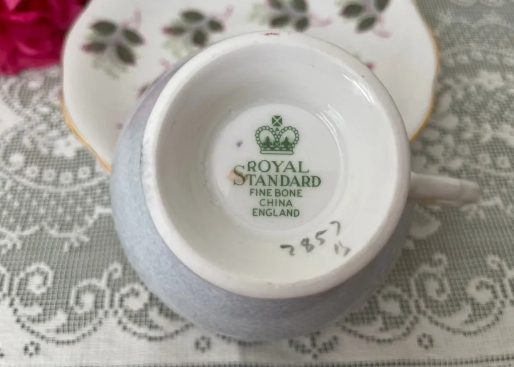 Vintage Royal Standard Soft Yellow Pink Rose Rosebuds Gray Teacup Saucer