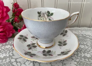 Vintage Royal Standard Soft Yellow Pink Rose Rosebuds Gray Teacup Saucer